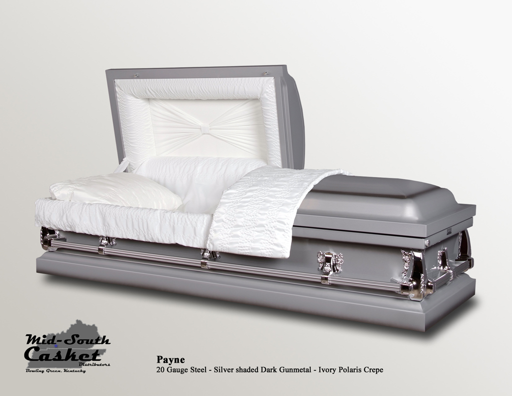 Payne Silver shaded Dark Gunmetal